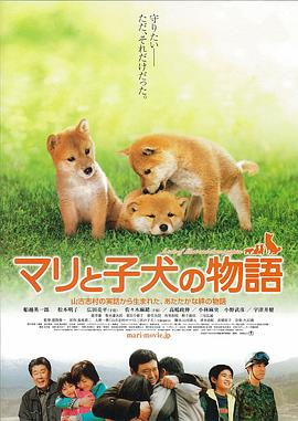 爱犬的奇迹(全集)