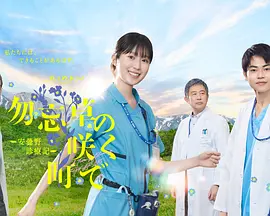 在勿忘草盛开的城镇(全集)