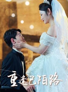 重逢已陌路 林千金她装不下去了 她如月光碎向星夜(全集)