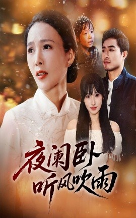 夜阑卧听风吹雨(全集)