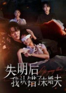 失明后我认错了未婚夫(全集)