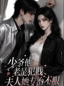 少爷他老是犯贱，夫人她专治不服(全集)