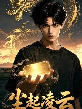 尘起凌云(全集)
