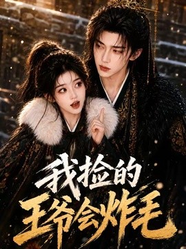 我捡的王爷会炸毛(全集)