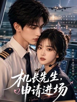 机长先生，申请进场(全集)