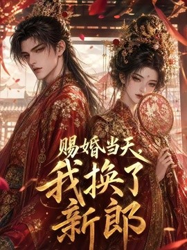 赐婚当天，我换了新郎(全集)