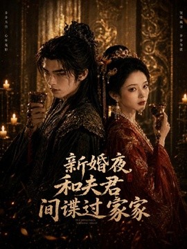 新婚夜和夫君间谍过家家(全集)