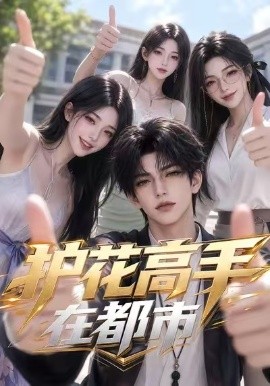护花高手在都市(全集)