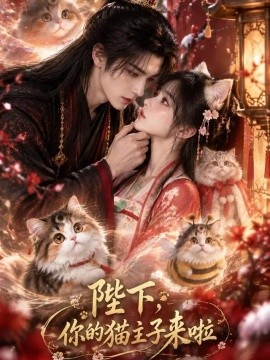 陛下，你的猫主子来啦(全集)